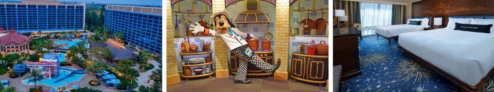 Disneyland Hotel